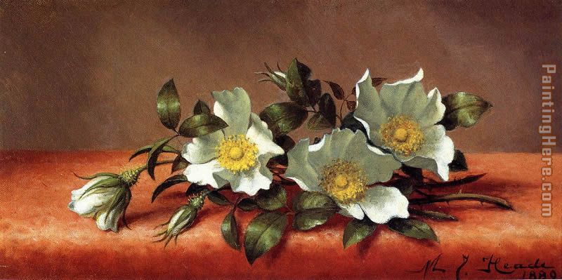 The Cherokee Rose painting - Martin Johnson Heade The Cherokee Rose art painting